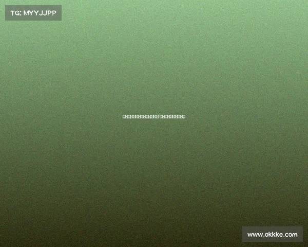 金塞拉：巴黎重启扎巴尔尼谈判 热刺密切关注局势动态